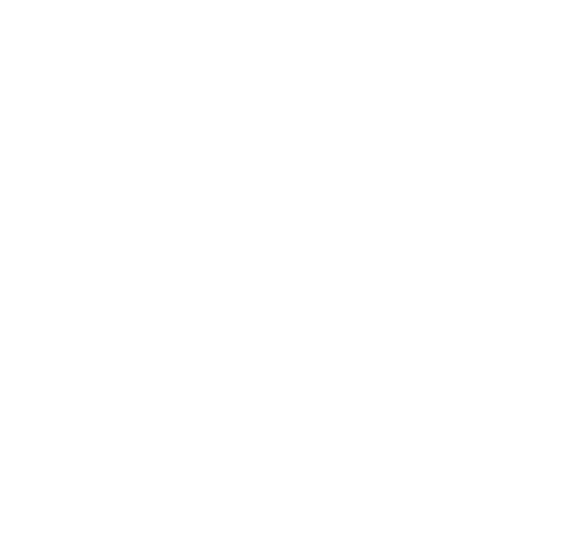 Magic Michael Cleaning Logo